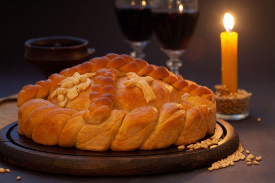 Čuvena Pančićeva omorika u opasnosti od nestajanja, čini se sve da se ova vrsta spasi!