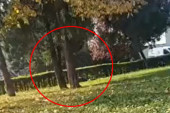 Scena s*ksa u beogradskom parku šokirala građane!  Ljubavni nagon "jači" i od paprenih kazni! (VIDEO)