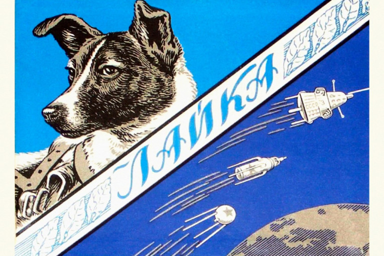 Tužna priča Lajke, prvog psa u svemiru: Zašto je baš ova ženka izabrana za istorijsko putovanje? (VIDEO)