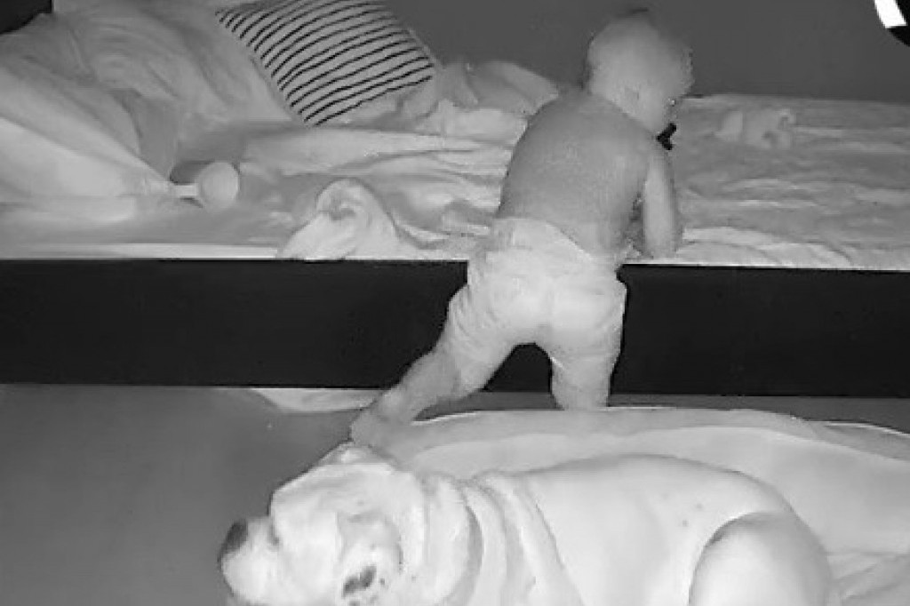 Kamera snimila dečaka koji ustaje iz kreveta i odlazi da spava sa svojim psom (VIDEO)