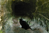 Misteriozni tunel usred srpskog sela, veruje se da su ga kopali Francuzi!