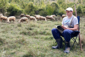 Čuva ovce i sprema doktorat o ustašama: Miša iz Pirota je sve ispite položio uz svoje stado! (VIDEO)