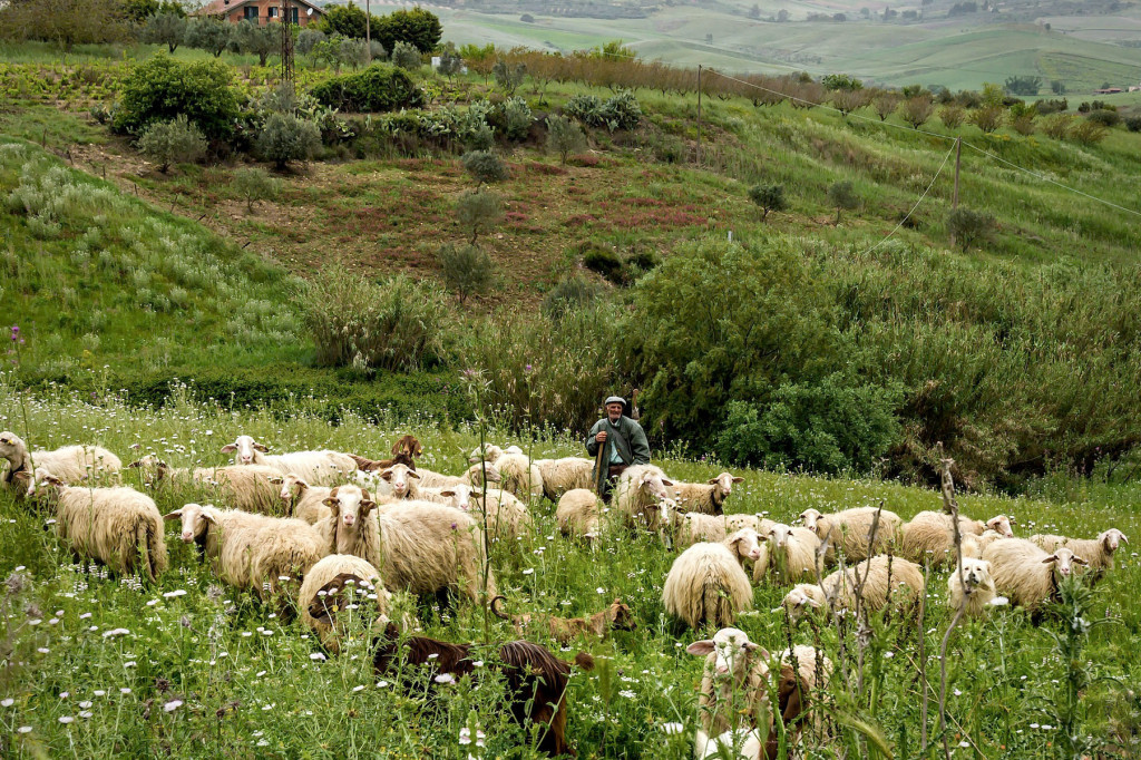 "Iskritikujte moje mesečne troškove": Srbin sa porodicom živi na selu i tvrdi da troši 2.500 evra mesečno