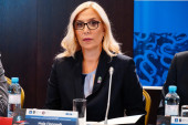 Ministarka Popović traži da se odbaci zahtev tzv. Kosova za članstvo u Haškoj konferenciji