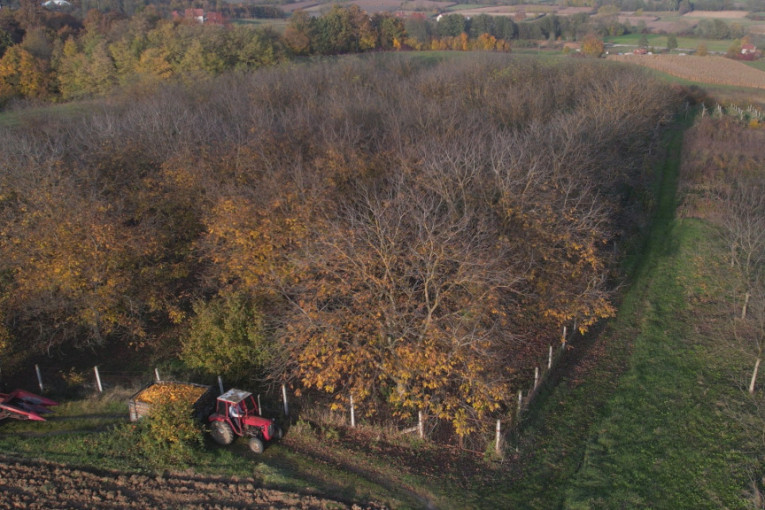 Najmodernije u Senti! Ovo se traži na tržištu, a tek će da donosi zaradu