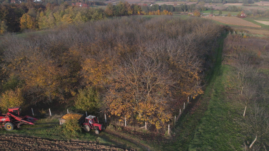 Sad moramo da obilazimo 20 kilometara, ali posle ćemo brže stizati: Vozači od jutros spremni na novi režim kod Preljine