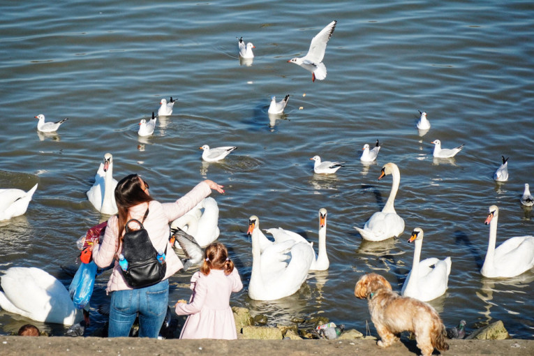 Oblačno jutro pred nama: Mestimična kiša, temperatura do 18 stepeni!