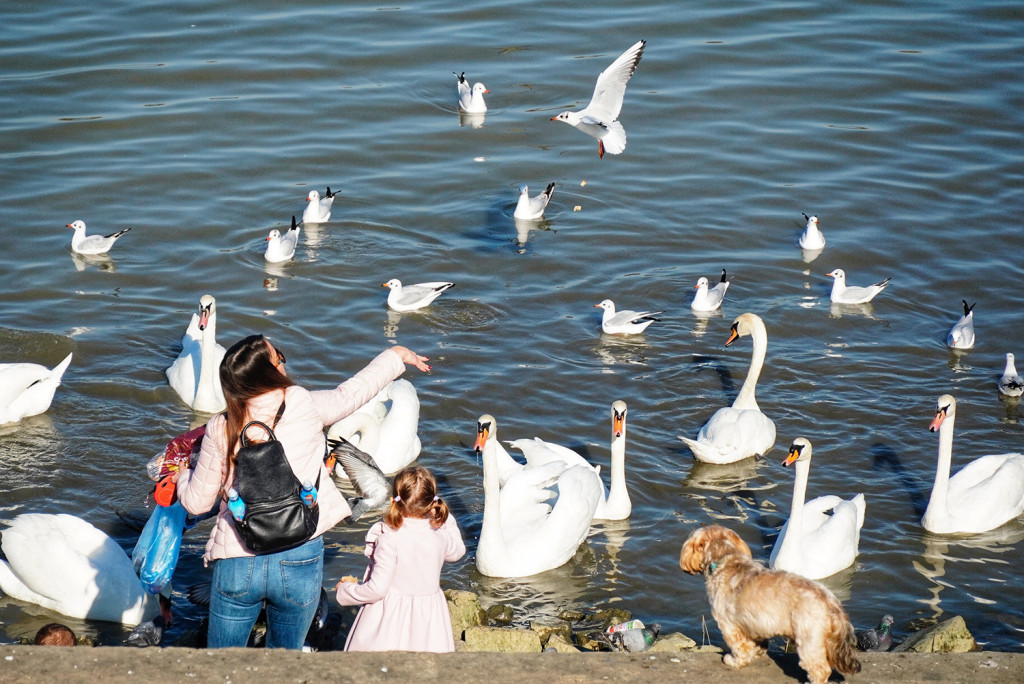 Smena sunca i oblaka: Popodne kiša, do 19 stepeni!