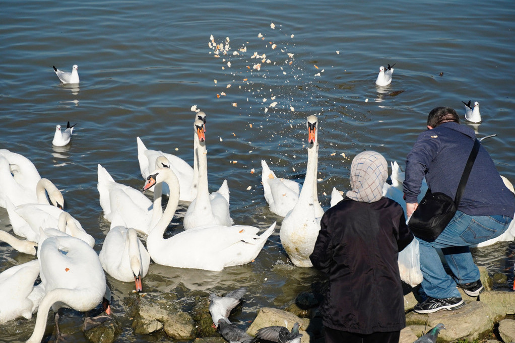 Nova najava RHMZ-a: Večeras se očekuje magla u jednom delu Srbije i ponegde slaba kiša!