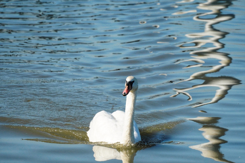 Prvi dan jula biće topao: Ipak, popodne nas čeka naoblačenje, a ponegde će padati i grad!