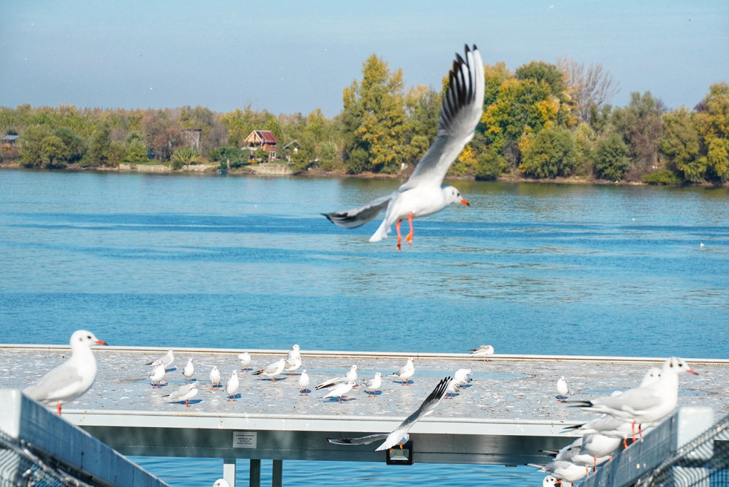 Dani kao preslikani: Magla, kiša i oblaci, a ponegde i sneg danas