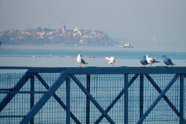 Oblačno jutro u Beogradu: Popodne mogući pljuskovi, do 27 stepeni!