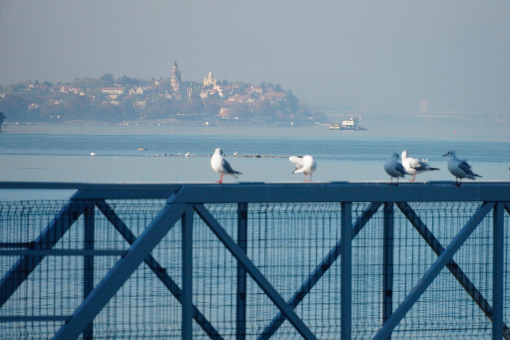 Svežije danas: Kiša i pljuskovi, a provejavaće i sneg