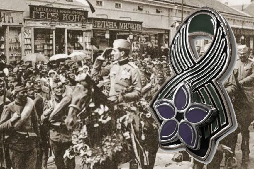 Srpska vojska se poput feniksa podigla iz pepela: Zašto je cvet Natalijina ramonda simbol Dana primirja u Prvom svetskom ratu? (FOTO)
