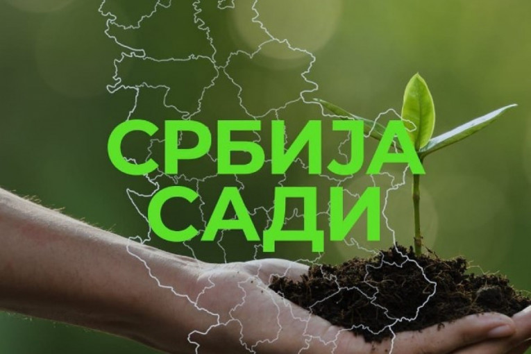 Čak 50.000 novih stabala širom Srbije: Akcija ministarstva zaštite životne sredine pravi razliku! (FOTO)