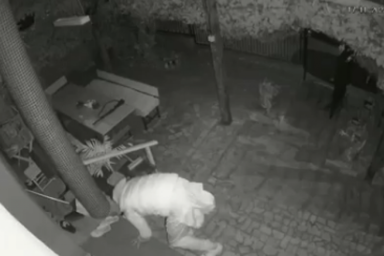 Nesvakidašnja krađa u Beogradu: Mladić snimljen kako "operiše" u dvorištu (VIDEO)