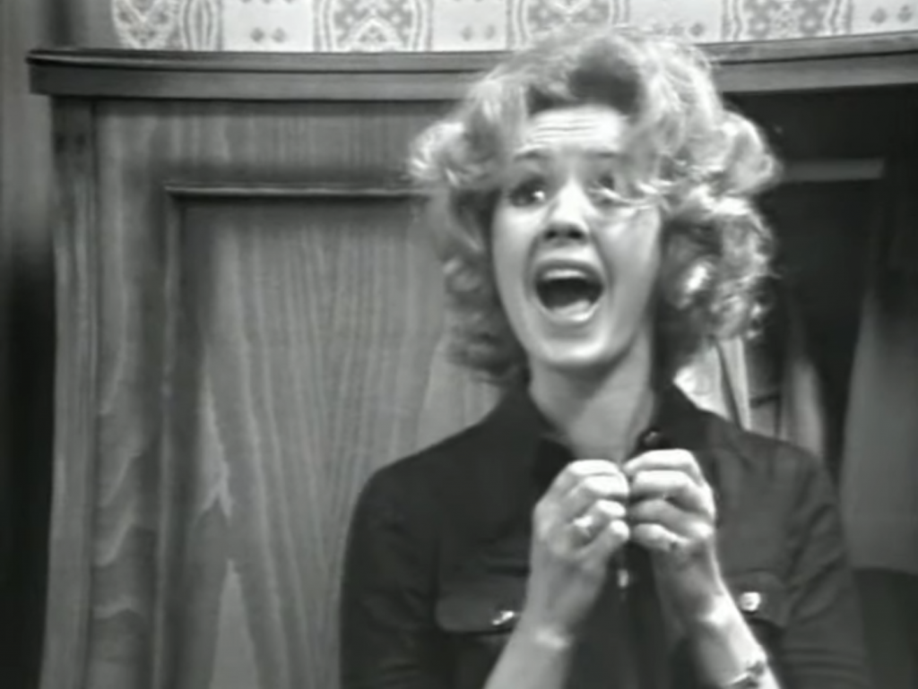 Sećate li se Rođe, Nikolajevićke, Majka Vuke, Olge i Tine? Pre punih 50 godina smo zavoleli "Pozorište u kući"