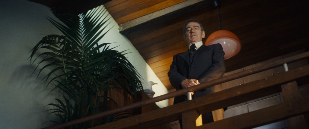 Nagrađivani filmovi besplatno u bioskopu i onlajn: Šta ćete moći da pogledate (FOTO/VIDEO)