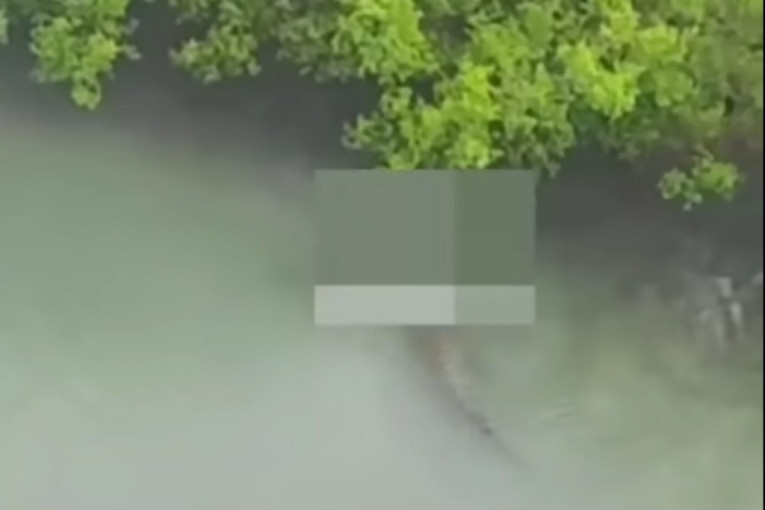 Jednogodišnjeg dečaka pojeo krokodil: Otac bezuspešno pokušavao da ga spasi