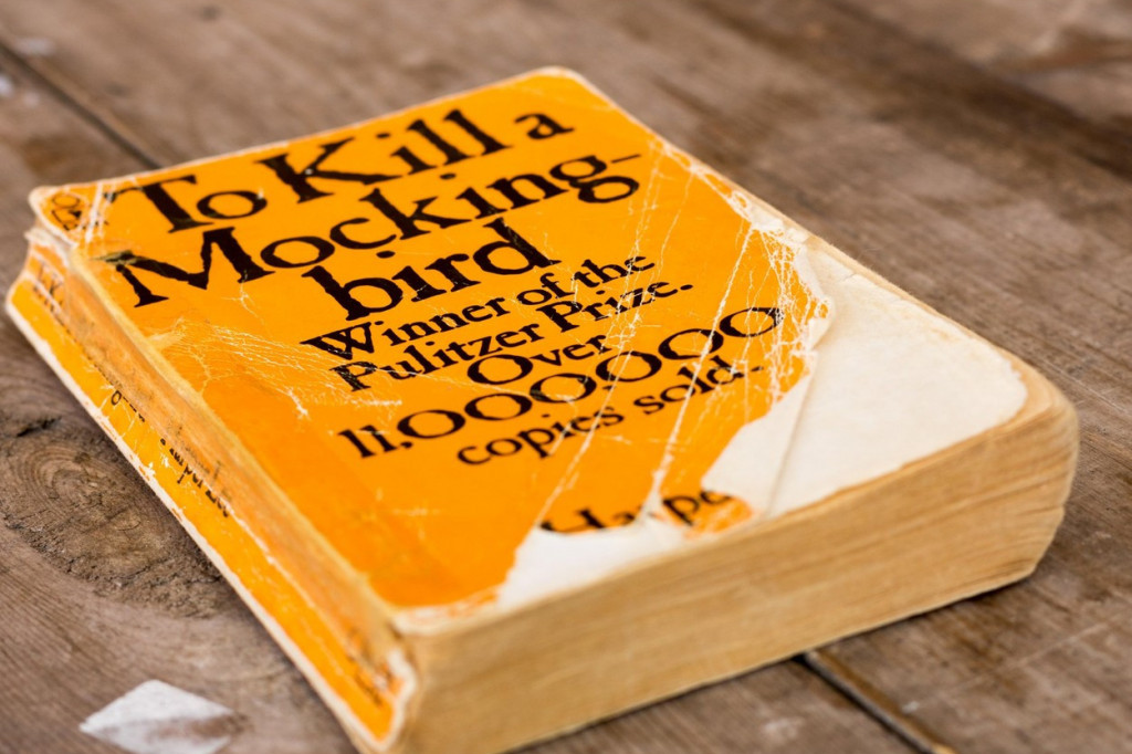 Šokantan razlog zbog kog je kultni roman postao poznat: Šta je proslavilo „Ubiti pticu rugalicu“