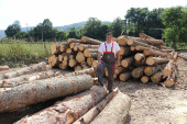 Punišići iz Međurečja obrade preko 10.000 kubika građe godišnje: U Ivanjici se više od pola stanovništva bavi preradom drveta