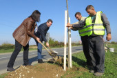 24SEDAM ŠABAC Počela sadnja novog drvoreda u Ulici zapadna transverzala II