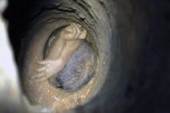 Agonija roditelja dečaka zaglavljenog u bunaru: Izvucite ga, hoću još jednom da vidim sina! (FOTO)