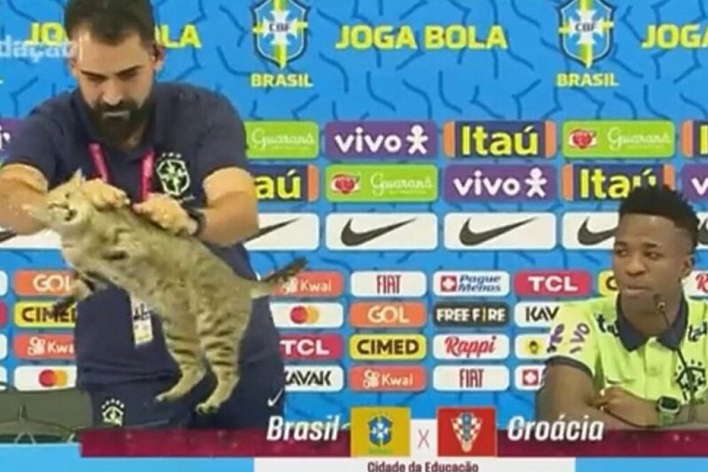 Svi su bili u šoku: Mačka prekinula konferenciju Brazila, a portparol je bacio sa stola! (VIDEO)