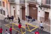Bik proburazio starca (82) na tradicionalnoj trci u Španiji (VIDEO)