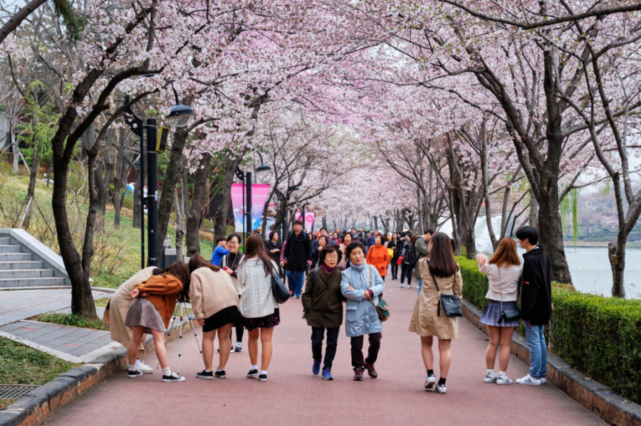 Južna Koreja podmlađuje stanovništvo: Zakonom propisano međunarodno računanje godina, do sada funkcionisali sa tri sistema