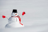 Sneg na zemlji za svu decu sveta znači jedno - pravljenje Sneška! Ovo je priča o njemu