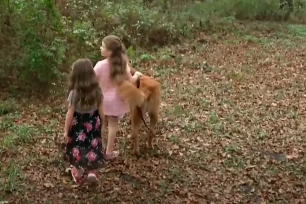 Dve devojčice se izgubile u šumi, ali su sve vreme imale zlatnog zaštitnika (VIDEO)