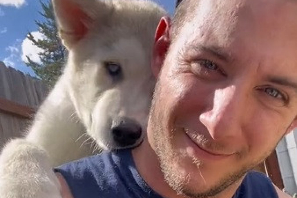 Naučio štene da skače na njega, pa pokazao kako to sada radi njegov već veliki pas (VIDEO)