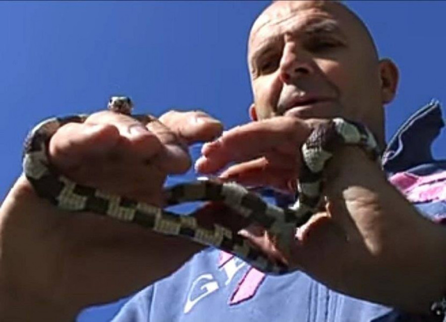 Od njih svi beže, a doktor Bata ih obožava! Stomatolog iz Aleksinca 15 godina proučava jezik zmija! (FOTO)