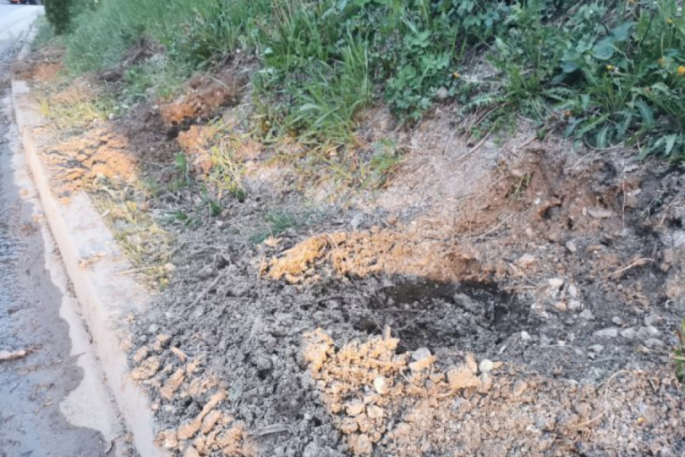 Lopovi iščupali biljke iz parka u Kragujevcu: Navikli smo da se kradu novčanici, telefoni pa čak i hrana, ali kradljivci više nemaju granicu