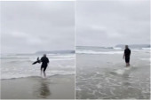 Video ajkulu u nevolji, pa ju je golim rukama vratio u okean: Malo ko bi se ovo usudio! (VIDEO)