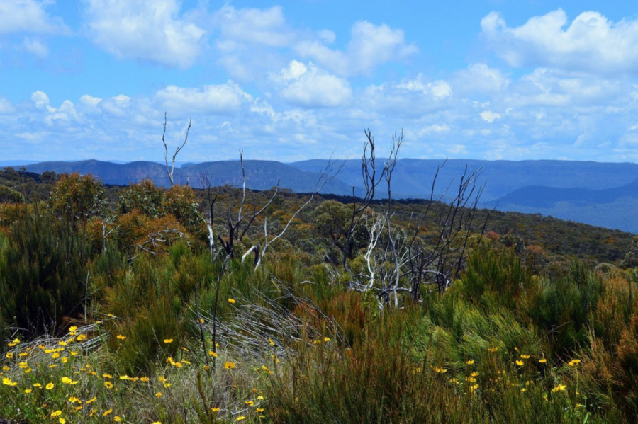 Plave planine, popularna turistička destinacija koju svake godine poseti tri miliona turista