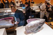 Tuna na aukciji u Tokiju prodata za 273.000 dolara, a ima više od 200 kilograma! (VIDEO)