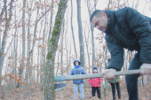 Petronijevići i dalje neguju srpske običaje i tradiciju: Ranko sa svoje troje dece ranom zorom krenuo u šumu, da poseče badnjak (FOTO)
