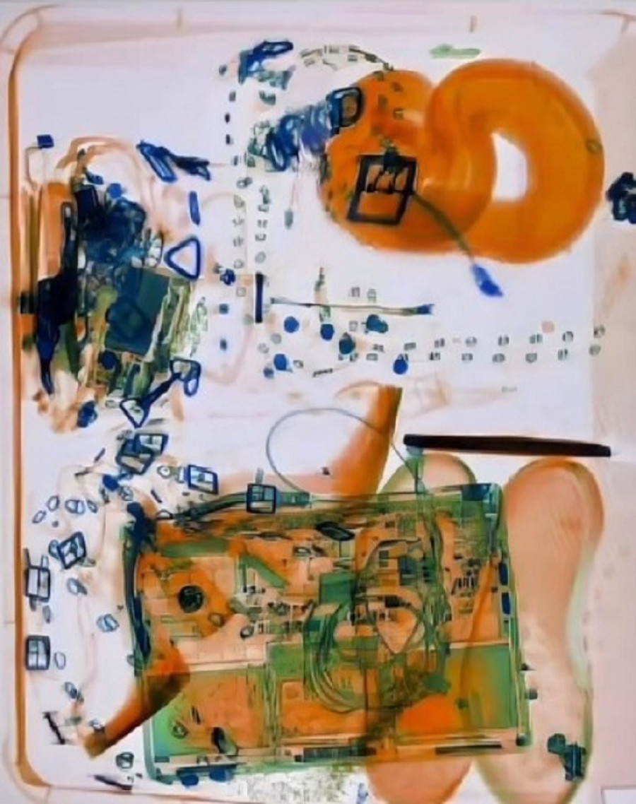 Avionski incidenti u 2023. godini: Zalutali medved, zmija u rancu, zaboravljena beba i otvorena vrata usred leta samo su neki od njih