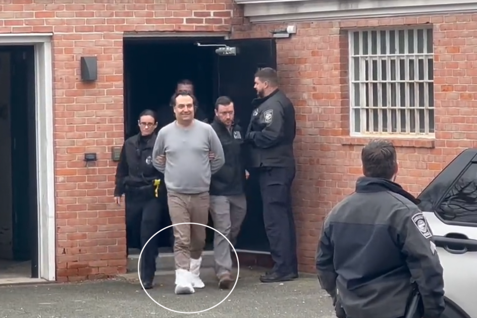 Dve stvari na mužu nestale Ane Volš dok ga privodi policija šokirale sve: Na licu osmeh, a evo šta je na nogama! (FOTO/VIDEO)