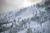 Zabelele se planine u regionu: Dugoočekivani sneg prekrio je planine u Sarajevu i u Crnoj Gori