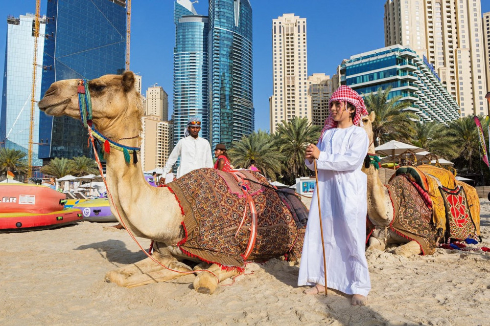 Pogledajte ekstravagantan život kamila u hotelu koji je posvećen njihovom održavanju i udobnosti