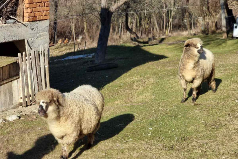 Svaki srpski kralj na trpezi je imao dva specijaliteta iz ovog mesta: Kada se čulo da jede i Tito, naručivala je čitava Jugoslavija (FOTO)