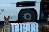 Pas otkrio tajni tovar: Carinici zaplenili 50.000 krijumčarenih cigareta! (FOTO/VIDEO)