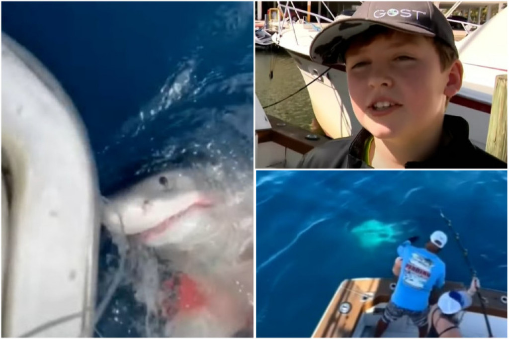 Dečak (12) uhvatio veliku belu ajkulu: Sa predatorom su se borili 45 minuta (VIDEO)