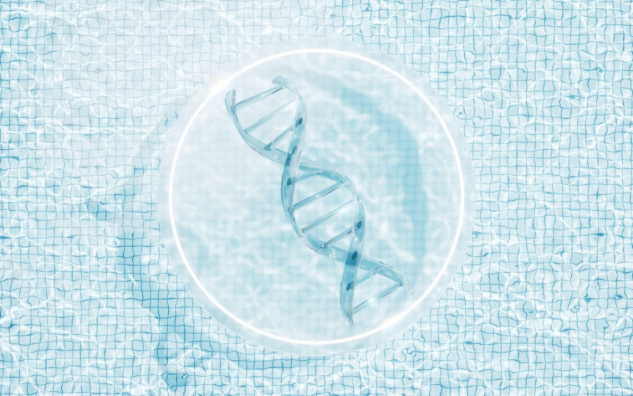 Naučnici su uspeli da podmlade miševe: Mogu li to uraditi i sa ljudima?