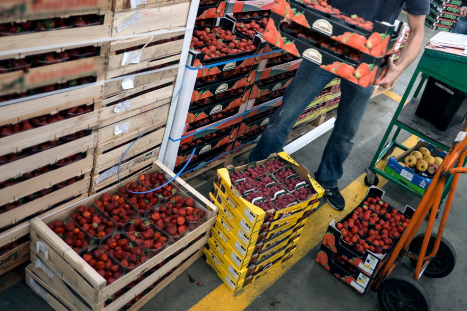 Izvoz voća na testu Carine: Kamionima s voćem i povrćem ukinuta prednost prolaska