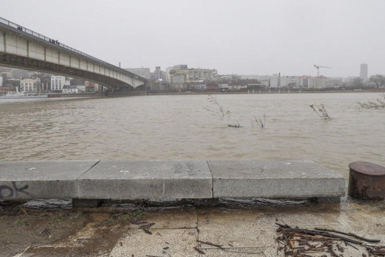 Izvukli grdosiju iz Save: Prava zver, teška gotovo 100 kilograma! (FOTO)