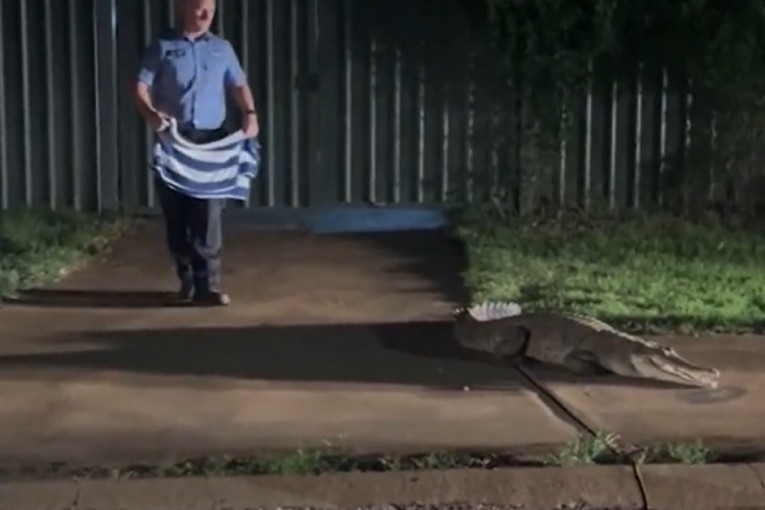 Ogroman krokodil lutao ulicama nakon velikih poplava: Jedva ga vratili u reku (VIDEO)